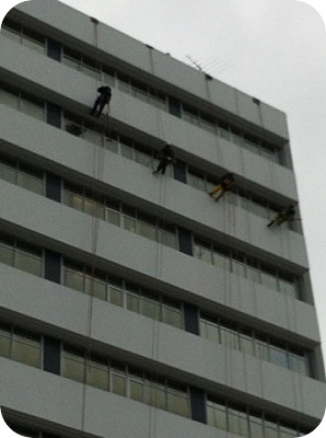 Strings Attached Abseiling North Shore Hospital